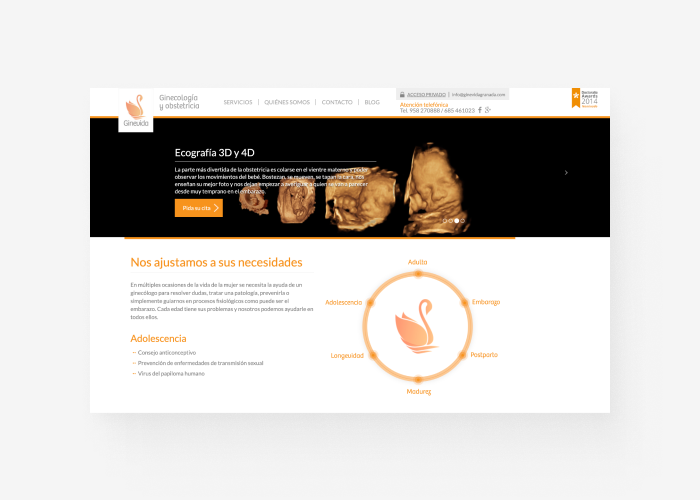 Screenshot prior to the redesign